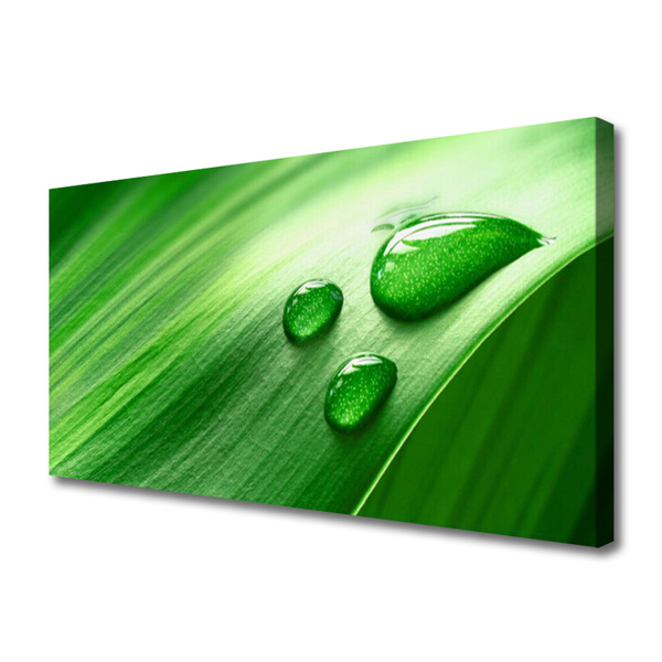 Slika na platnu Leaf water drops