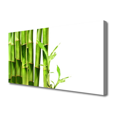 Slika na platnu Bamboo rastlin
