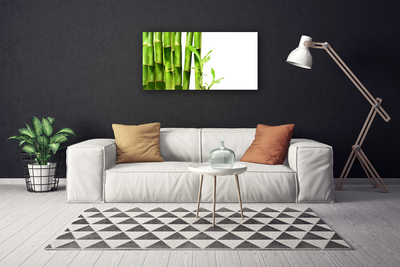 Slika na platnu Bamboo rastlin