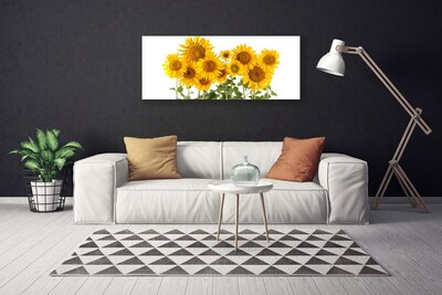 Slika na platnu Sončnice rastlin