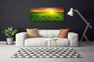 Slika na platnu Pšenična polja sunrise