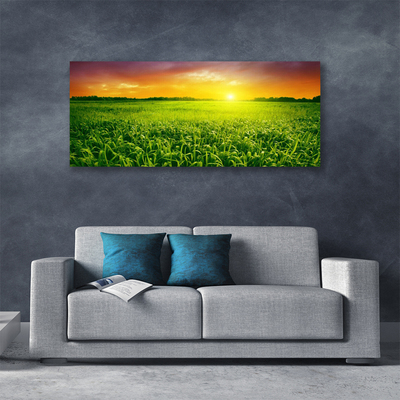 Slika na platnu Pšenična polja sunrise