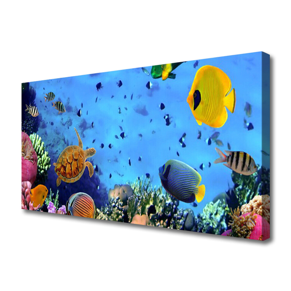 Slika na platnu Coral reef fish narava