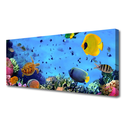 Slika na platnu Coral reef fish narava