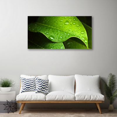 Slika na platnu Dew drops leaf