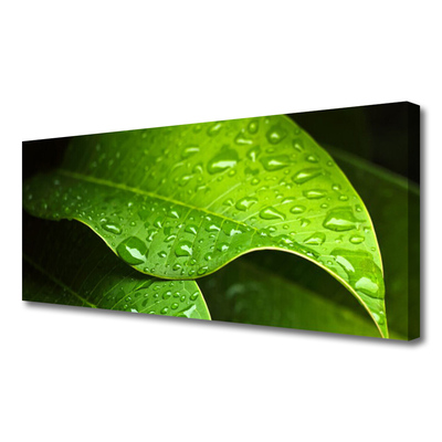 Slika na platnu Dew drops leaf