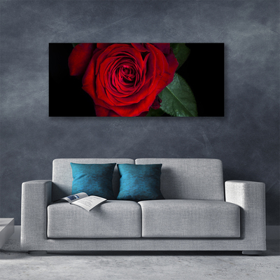 Slika na platnu Rose na wall