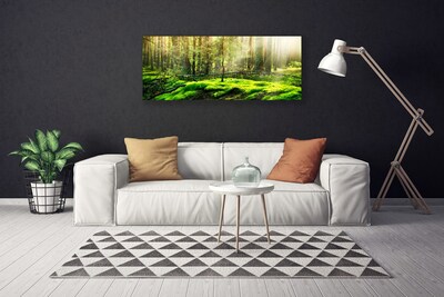 Slika na platnu Forest moss narava