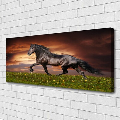Slika na platnu Črna horse meadow živali