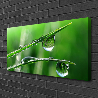 Slika na platnu Grass dew drops