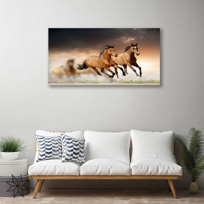 Slika na platnu Konji živali