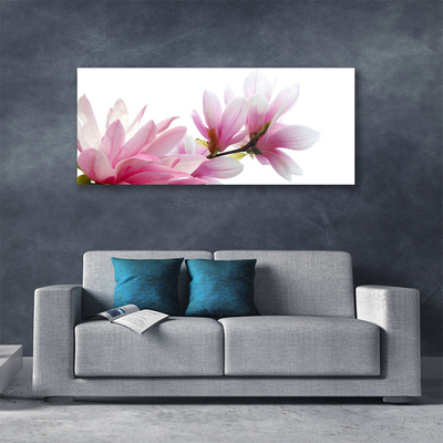 Slika na platnu Magnolia flower