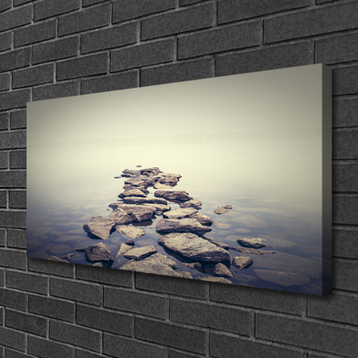 Slika na platnu Rocks vode landscape