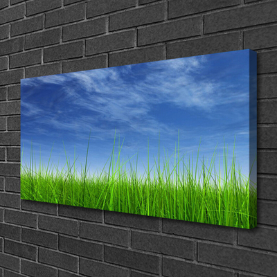 Slika na platnu Sky grass nature rastlin