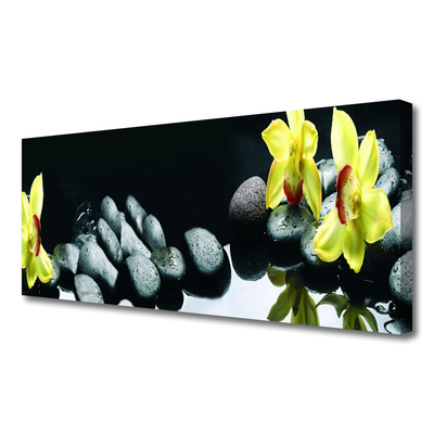 Slika na platnu Orhideja cvet