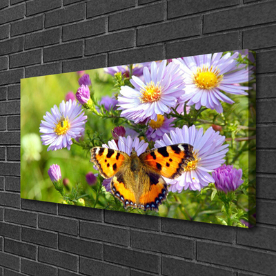 Slika na platnu Rastlina cveti butterfly narava
