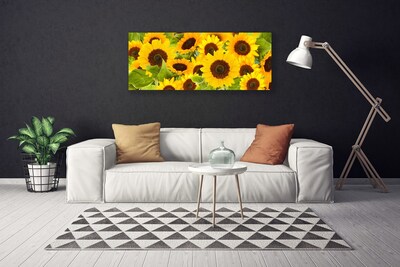 Slika na platnu Sončnice rastlin