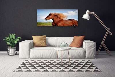 Slika na platnu Konj živali