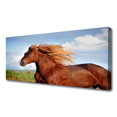 Slika na platnu Konj živali