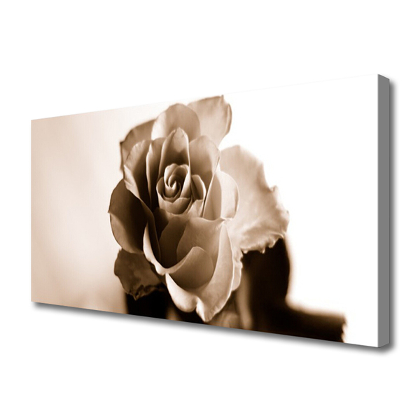 Slika na platnu Rose flower rastlin