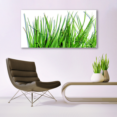 Slika na platnu Grass on wall
