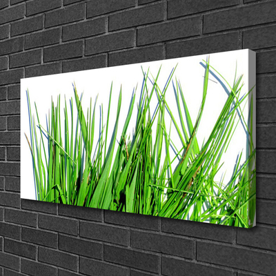 Slika na platnu Grass on wall