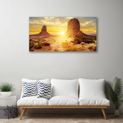 Slika na platnu Desert sun landscape