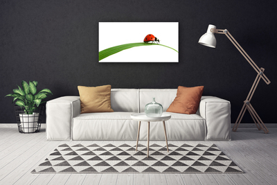Slika na platnu Ladybug narava