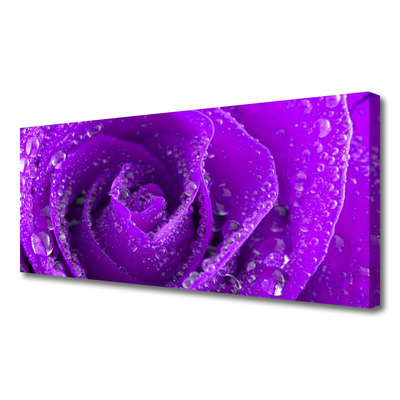 Slika na platnu Rose flower rastlin