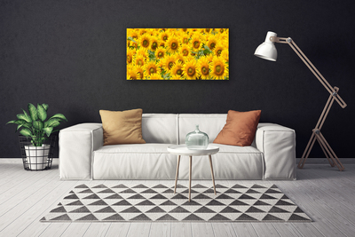 Slika na platnu Sončnica rastlin narava