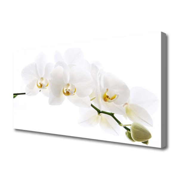 Slika na platnu Orhideje