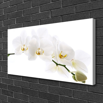 Slika na platnu Orhideje