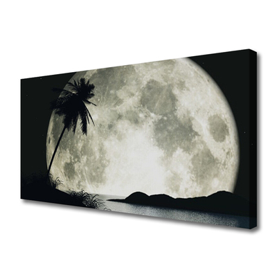 Slika na platnu Nočni moon landscape palm