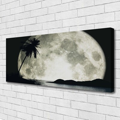 Slika na platnu Nočni moon landscape palm