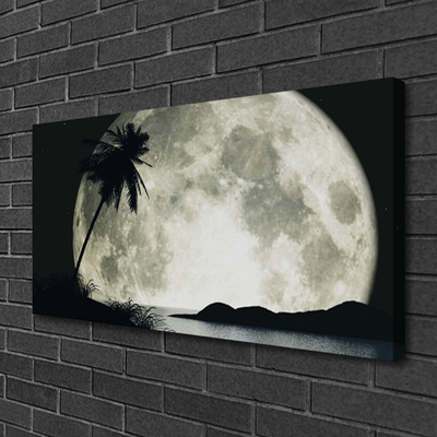 Slika na platnu Nočni moon landscape palm