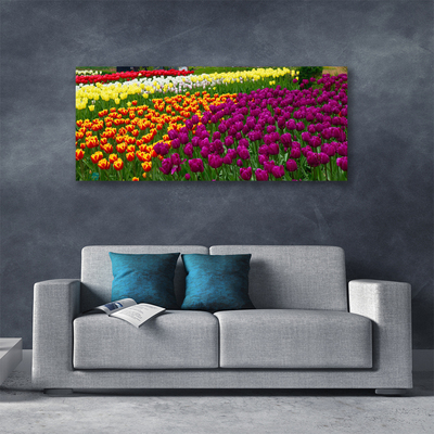 Slika na platnu Tulipani cvetje