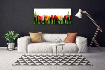 Slika na platnu Rastlin tulipani
