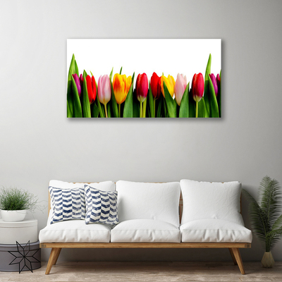 Slika na platnu Rastlin tulipani