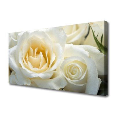 Slika na platnu Vrtnice cvetje