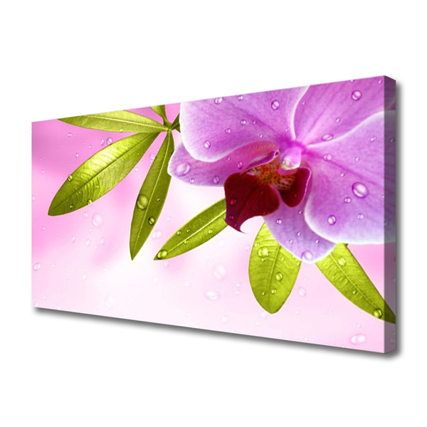 Slika na platnu Flower listih rastlin