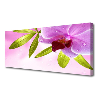Slika na platnu Flower listih rastlin