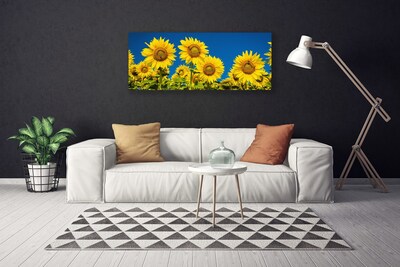 Slika na platnu Rastlinski sončnice