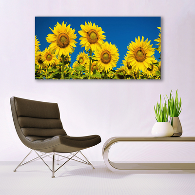 Slika na platnu Rastlinski sončnice
