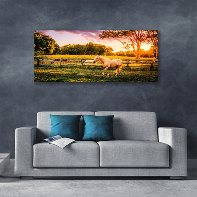 Slika na platnu Horse meadow narava živali