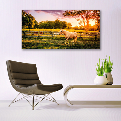 Slika na platnu Horse meadow narava živali