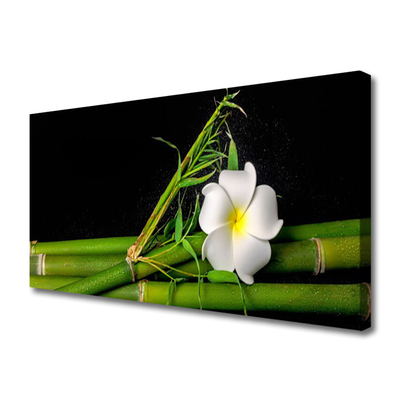 Slika na platnu Bamboo flower rastlin