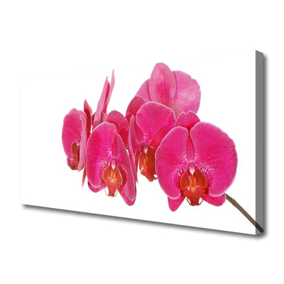 Slika na platnu Cvetovi rastlin