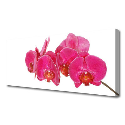 Slika na platnu Cvetovi rastlin
