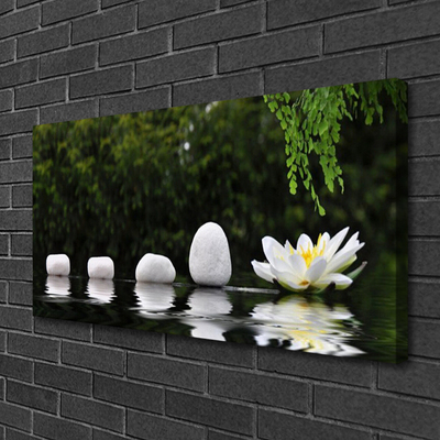 Slika na platnu Lotus flower water lily