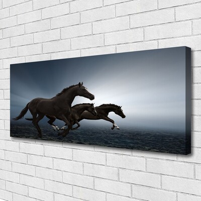 Slika na platnu Konji živali